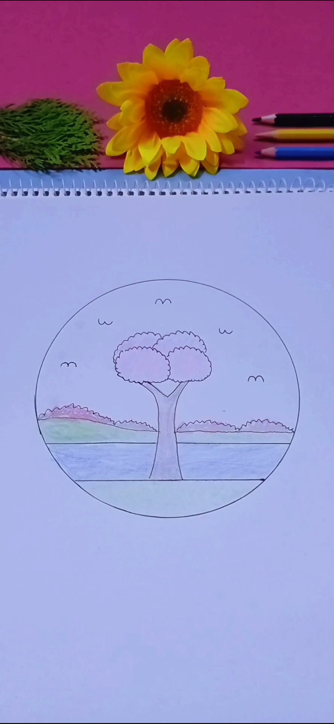 draw